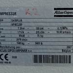 Atlas Copco GA55+FF Винтовой компрессор (Контрактный)